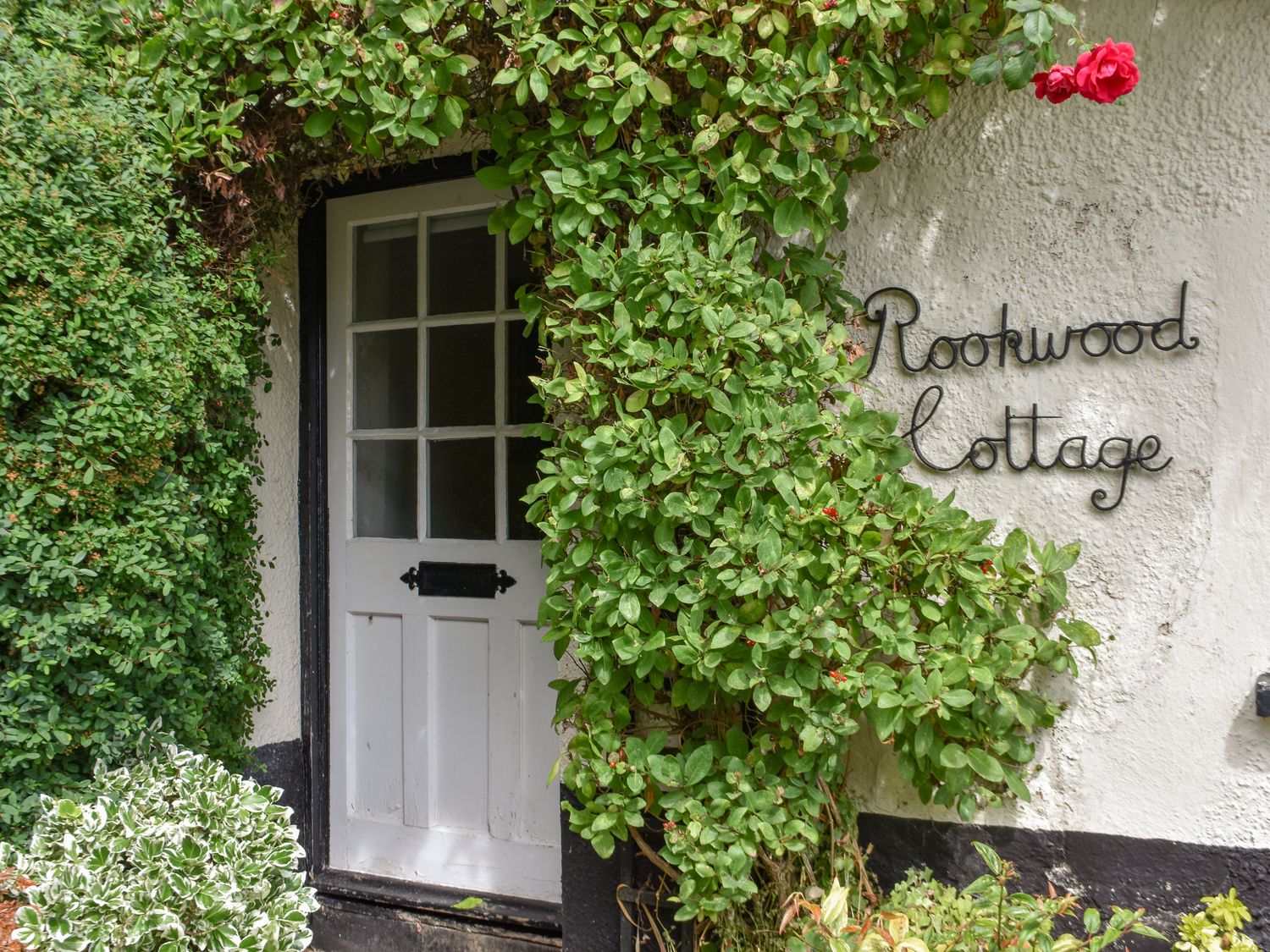 A white wooden door surrounded by green vines with a sign reading Rookwood Cottage on the wall at Rookwood in Drewsteignton