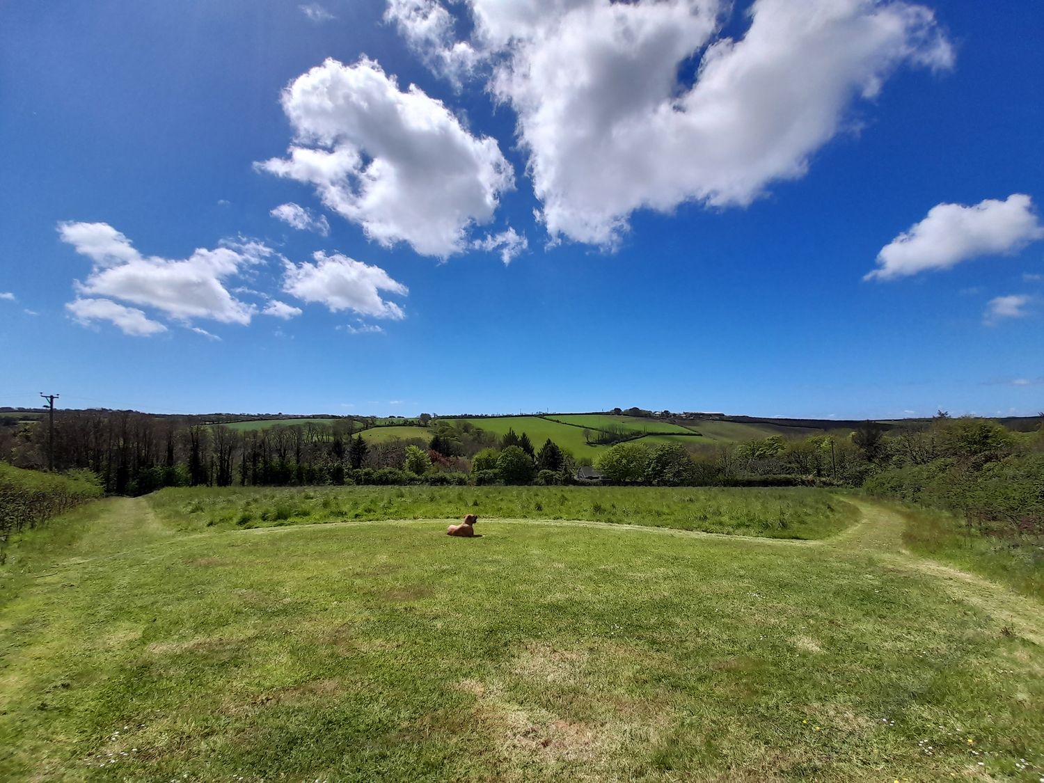 Higher Lampra                     photo 20