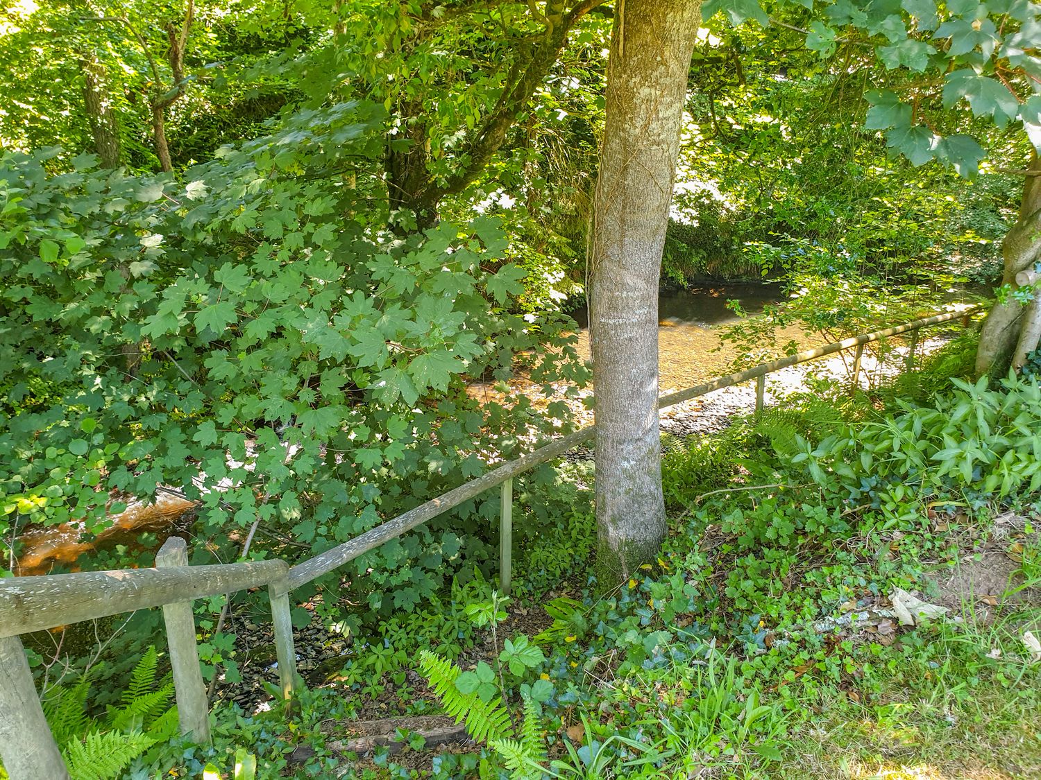 A wooded area with trees and green plants near a small river with a wooden railing along a dirt path at The Old Mill Holiday Cottage Jacobstowe near Okehampton