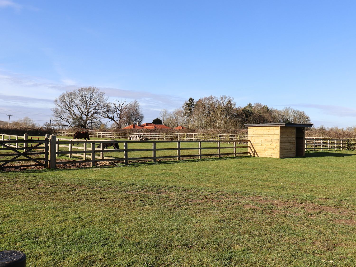 A fenced pasture with two horses and a small wooden shelter in a rural area at Grange Barn in Gedding near Felsham