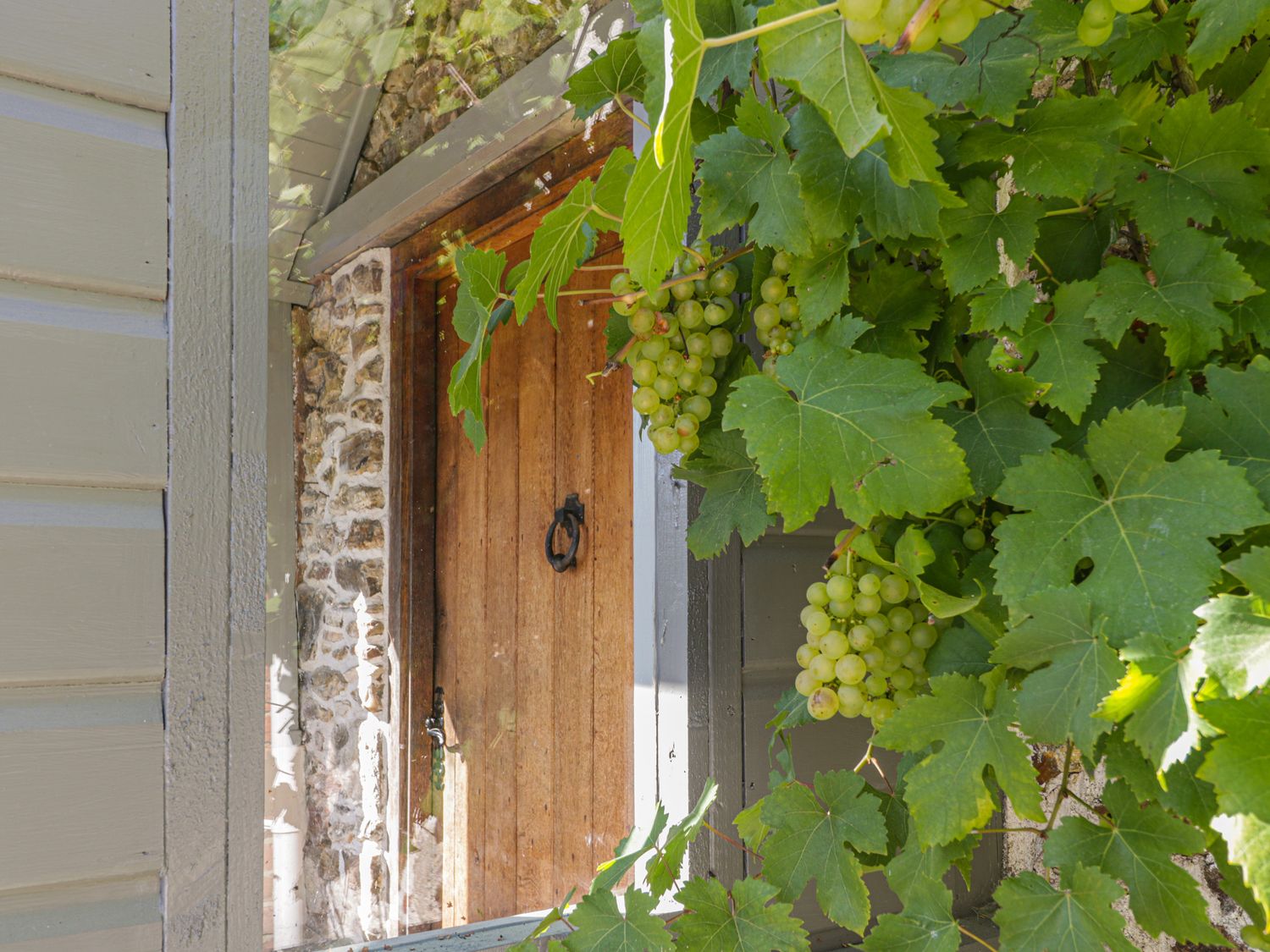 A wooden door with a black handle and knocker surrounded by stone and green grapevines with clusters of grapes at The Barn in Honiton
