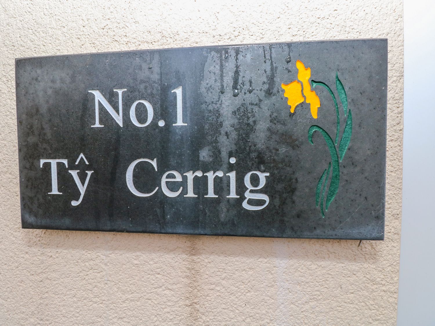 Ty Cerrig                     photo 2