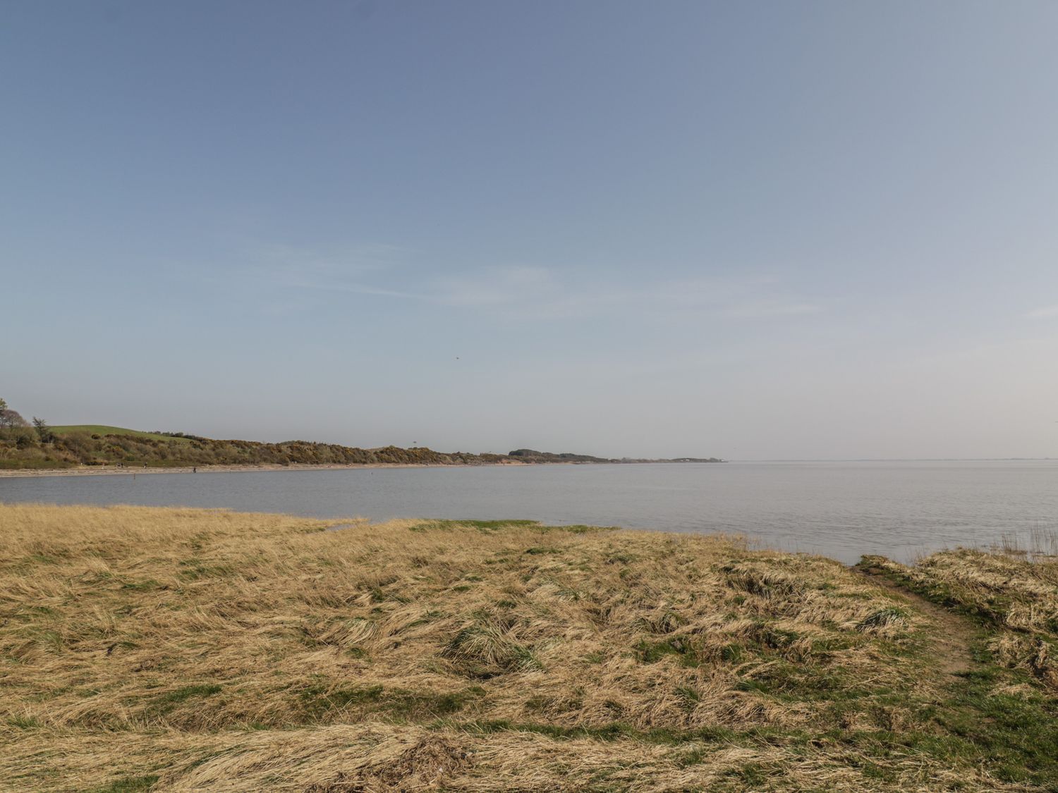A coastal landscape with dry grass in the foreground and calm water under a clear sky at 7 Cummertrees in Cummertrees near Annan