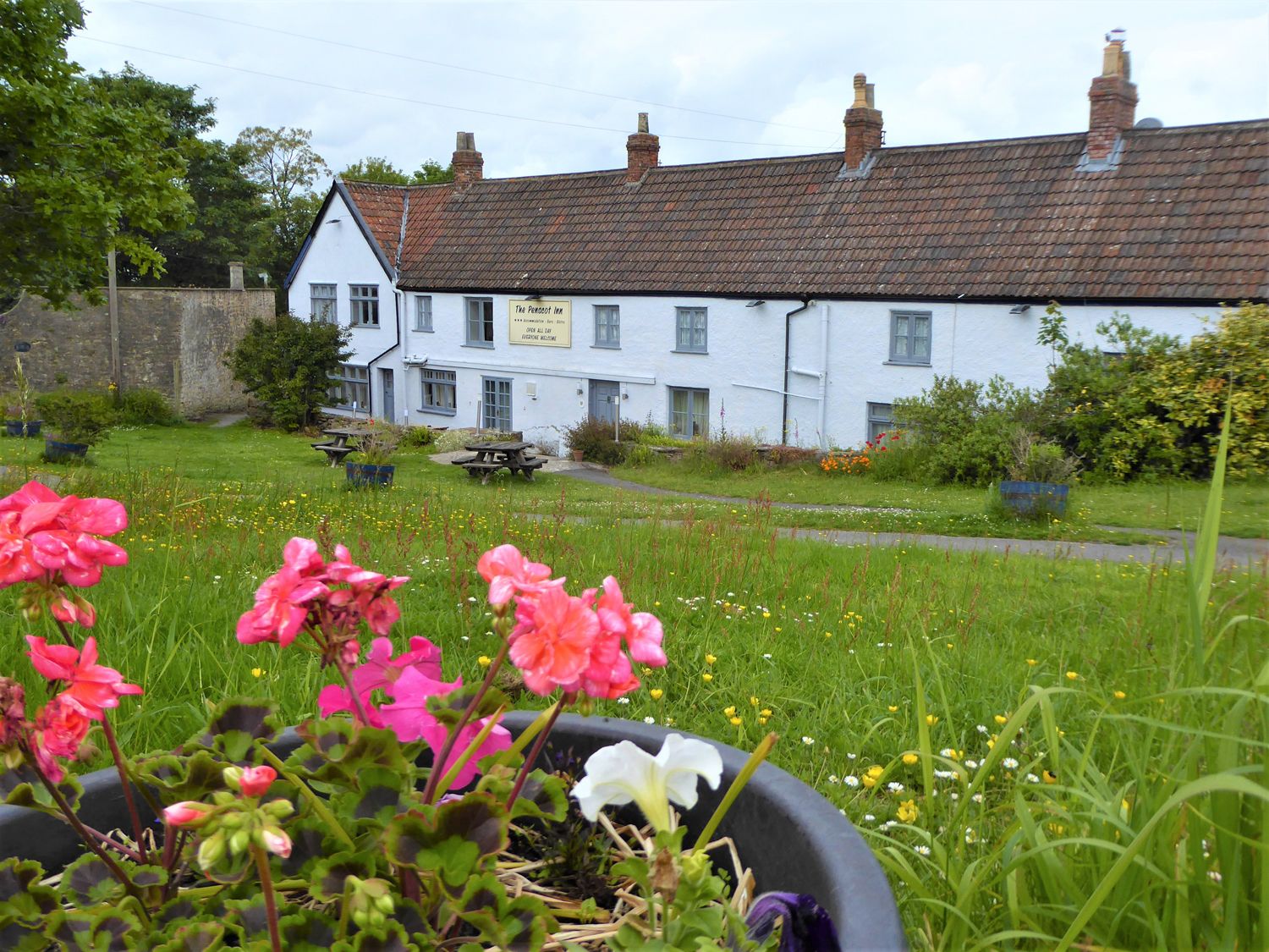 White building with a tiled roof and picnic tables in a garden with flowers in a pot at The Forge in Shipham