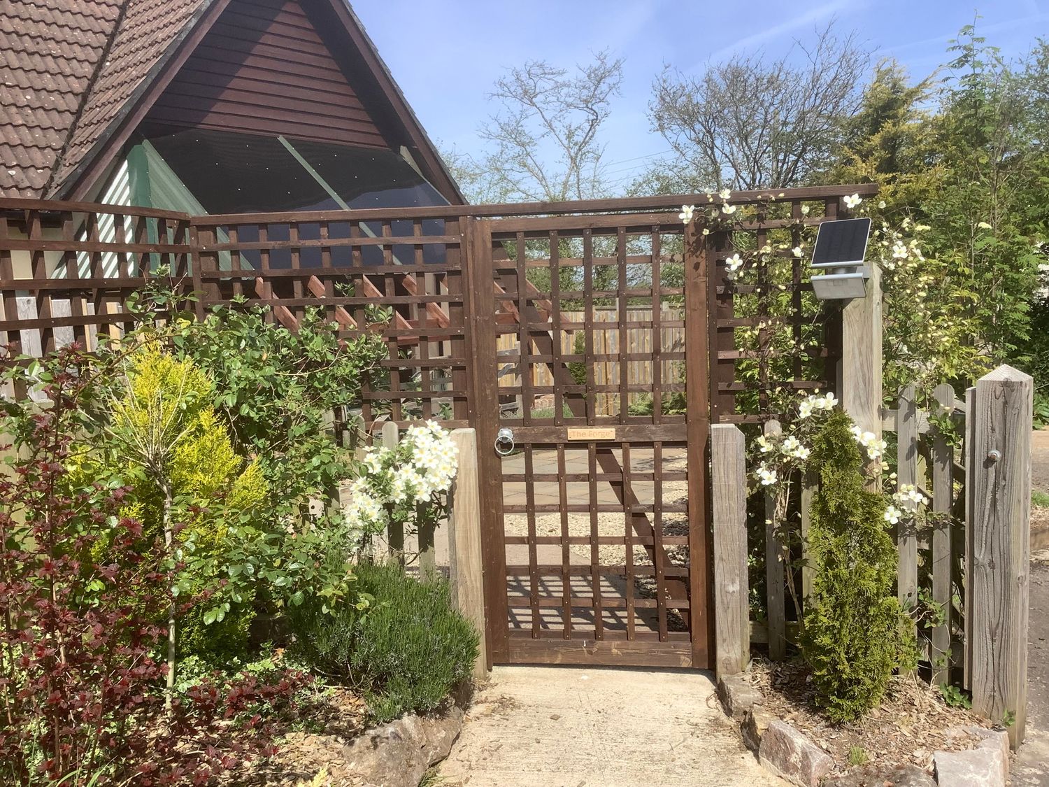 A wooden garden gate with climbing white flowers and surrounding bushes at The Forge in Shipham
