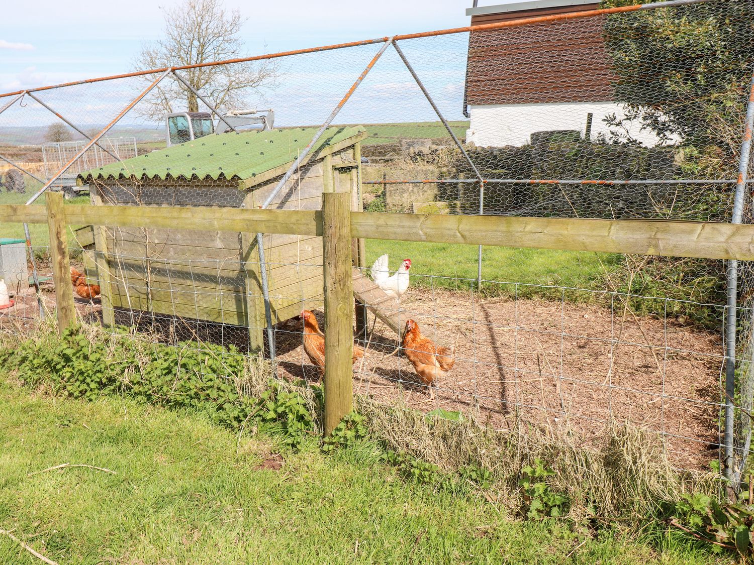Dairy Cottage                     photo 22