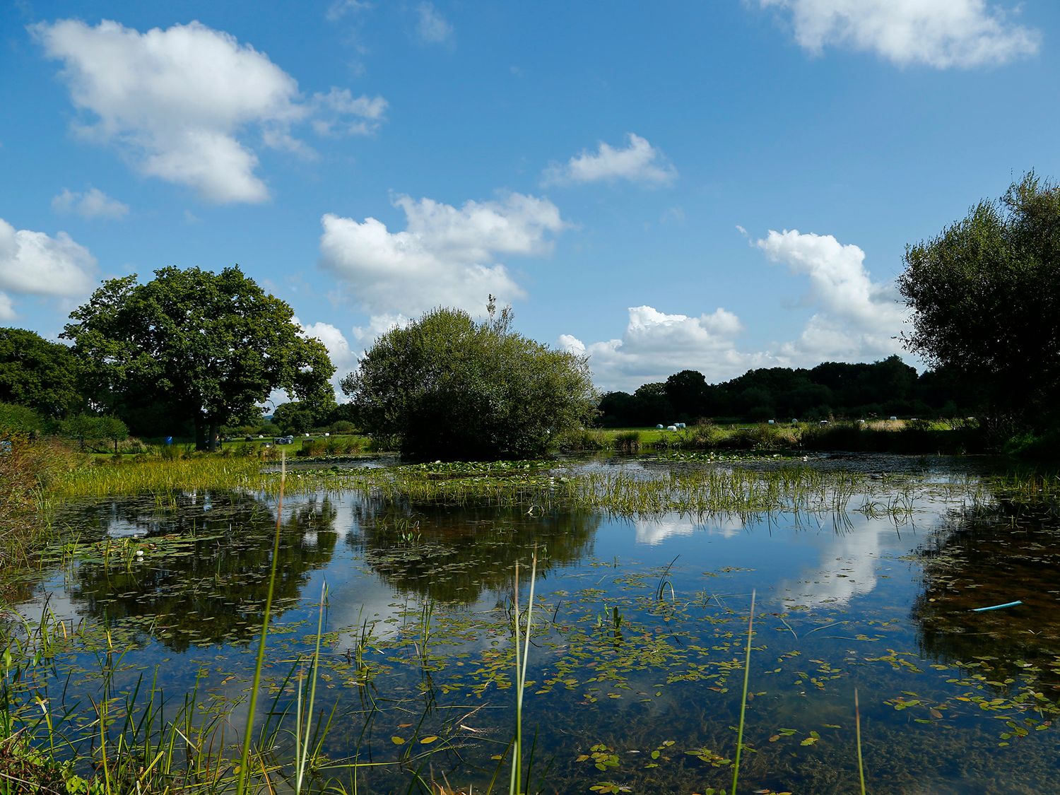 Fishing lake at Twelve Oaks Farm Lodges Teigngrace Devon