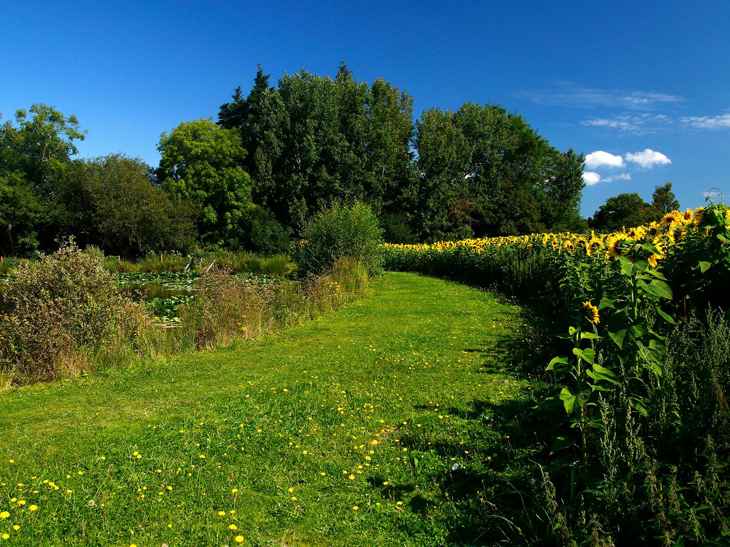 Park surroundings Park surroundings at Twelve Oaks Farm Holiday Lodges near Newton Abbot Devon - Book Self Catering Accommodation in Teigngrace Devon