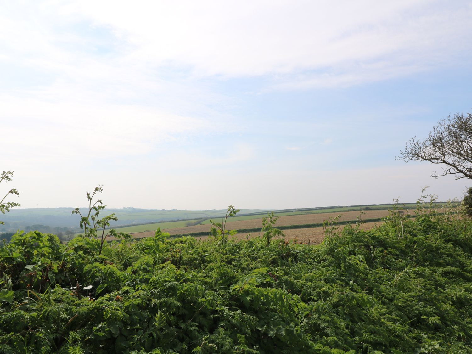 Swallow Cottage                     photo 22