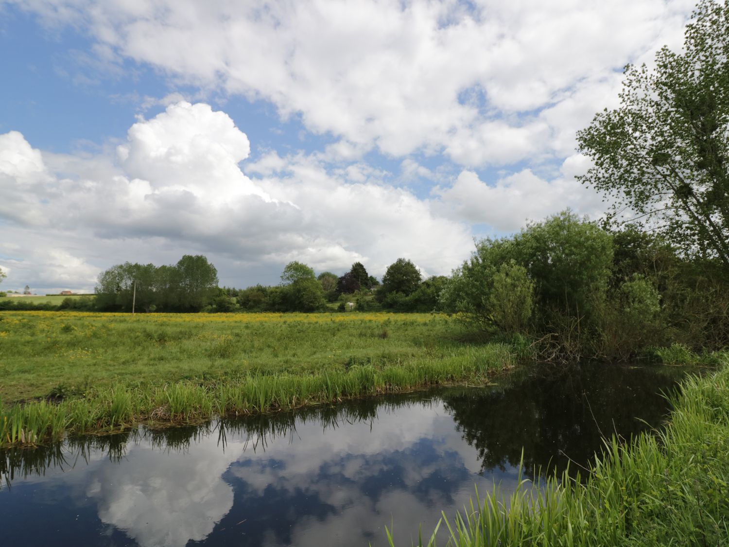 A grassy field with trees and a river reflecting clouds at Cottage on the Common in Westbury-on-Severn