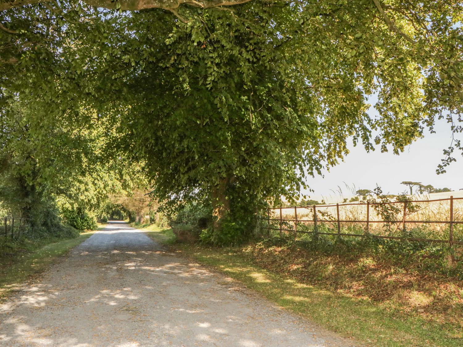 Meadowlea Cottage                     photo 44