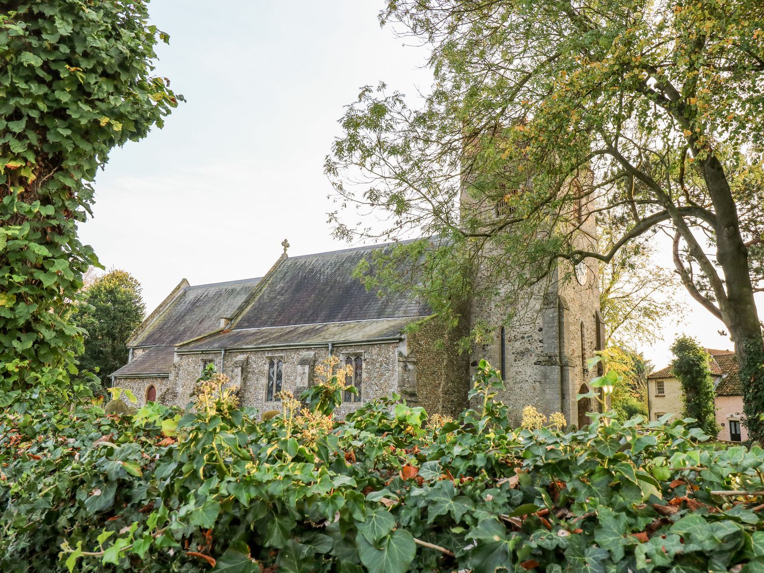 An old stone church with a clock tower surrounded by trees and ivy at The Old School in Downham Market