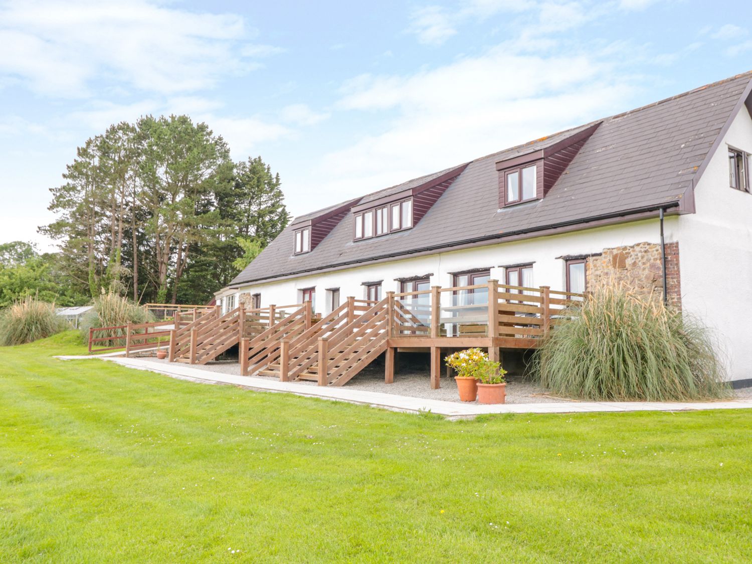 Primrose Cottage - Devon - 1012915 - photo 1