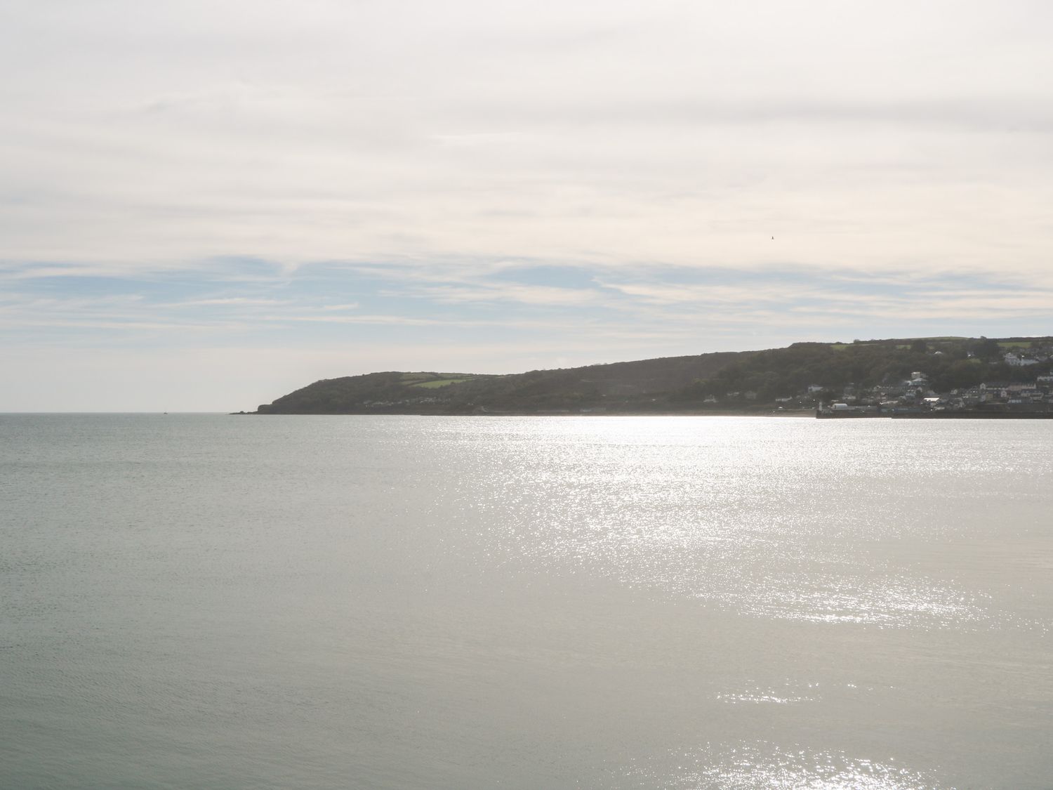 Coth Skyber                     photo 37