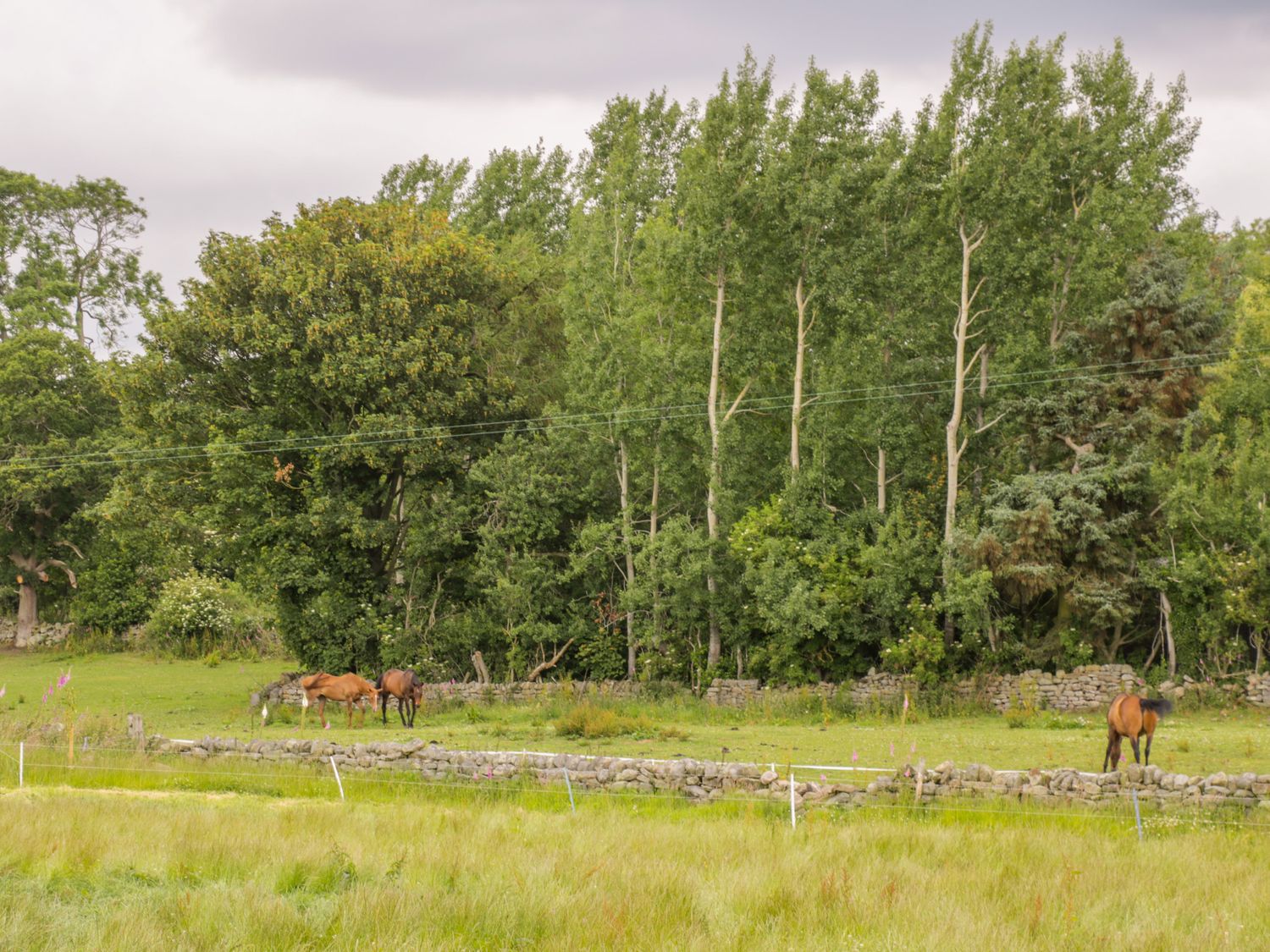 Thirley Beck Lodge                     photo 12