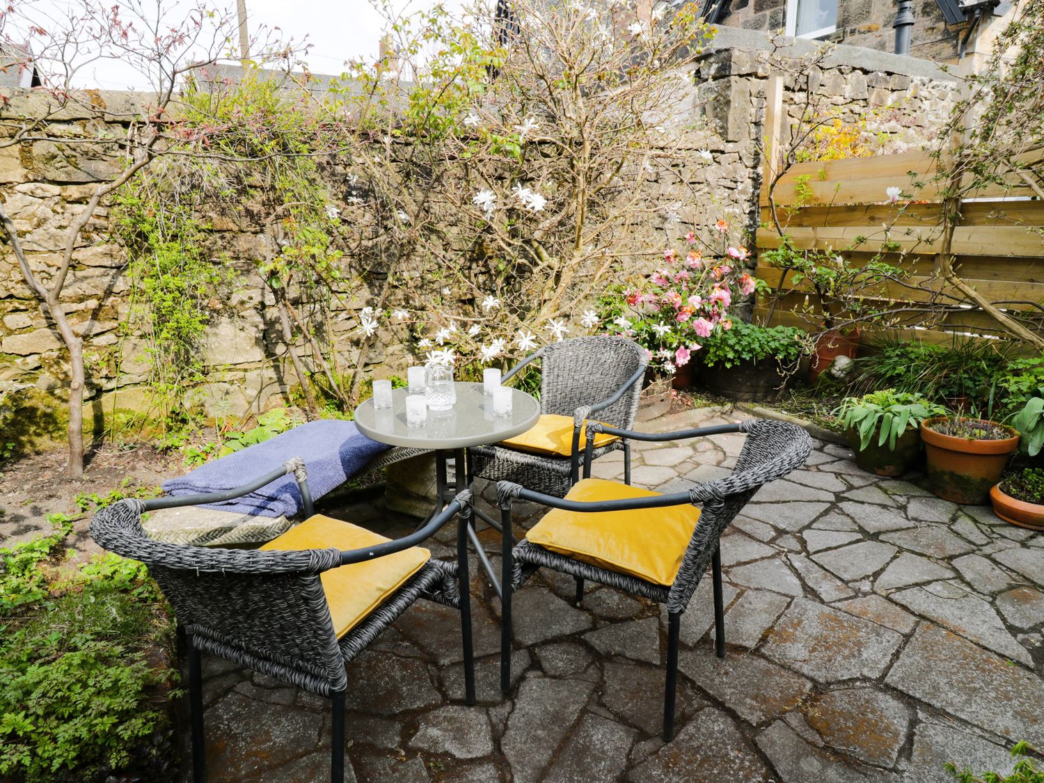 An outdoor patio area with four wicker chairs with yellow cushions around a small glass table and potted plants against a stone wall at 6 Ronald Place in Stirling