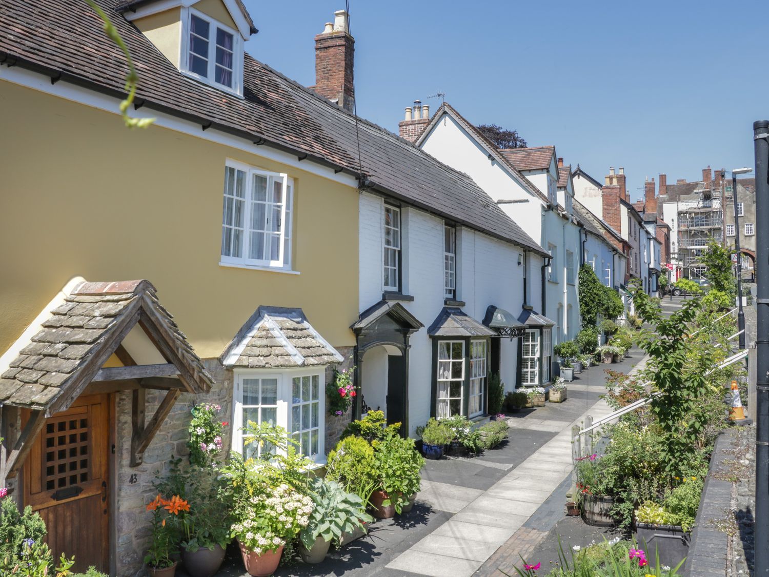 A row of terraced houses with potted plants along the pavement in a residential street