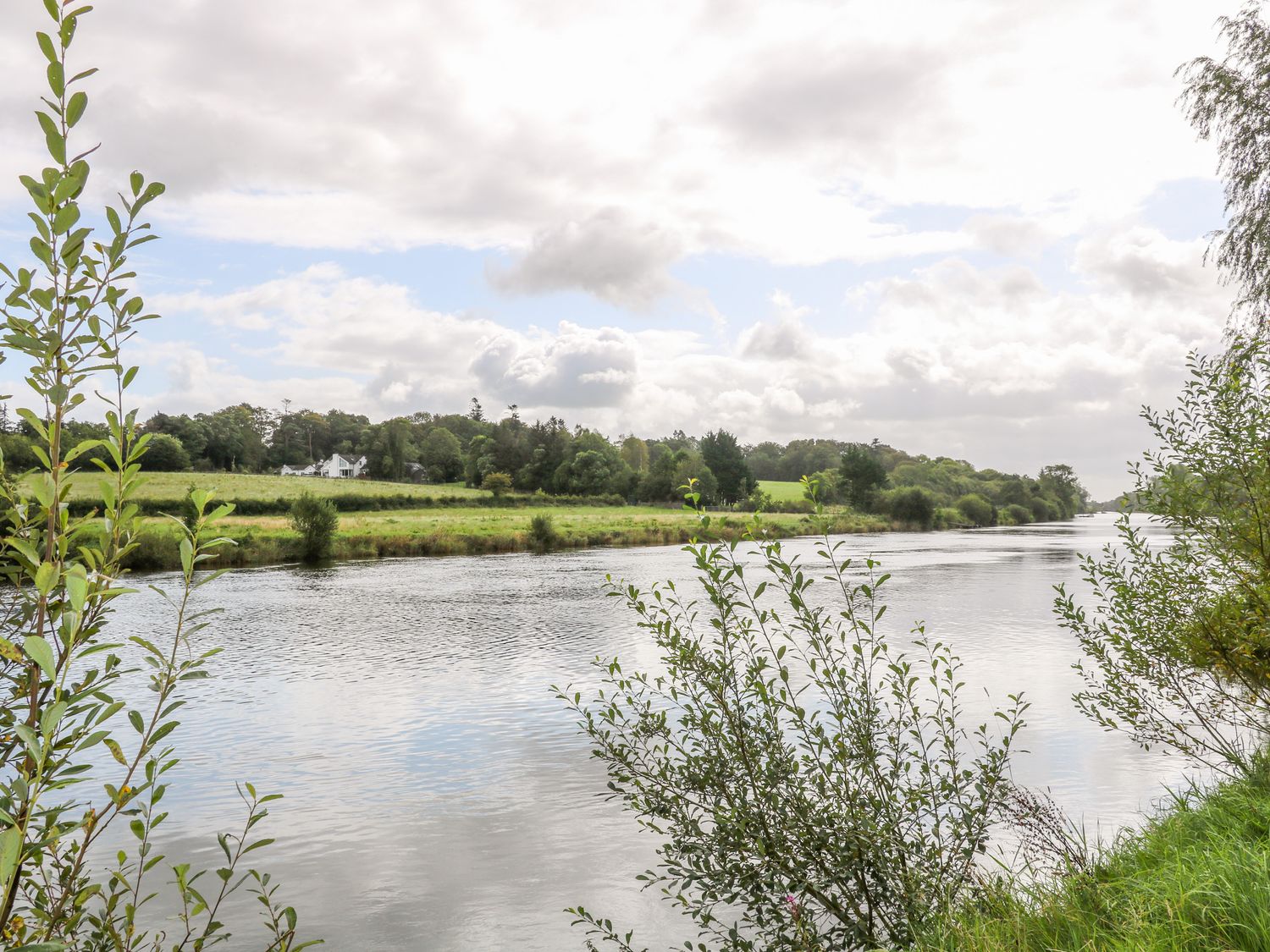 A river with green bushes and trees along the banks and a white house in the distance at Quiet Waters Cottage in Loughan near Coleraine