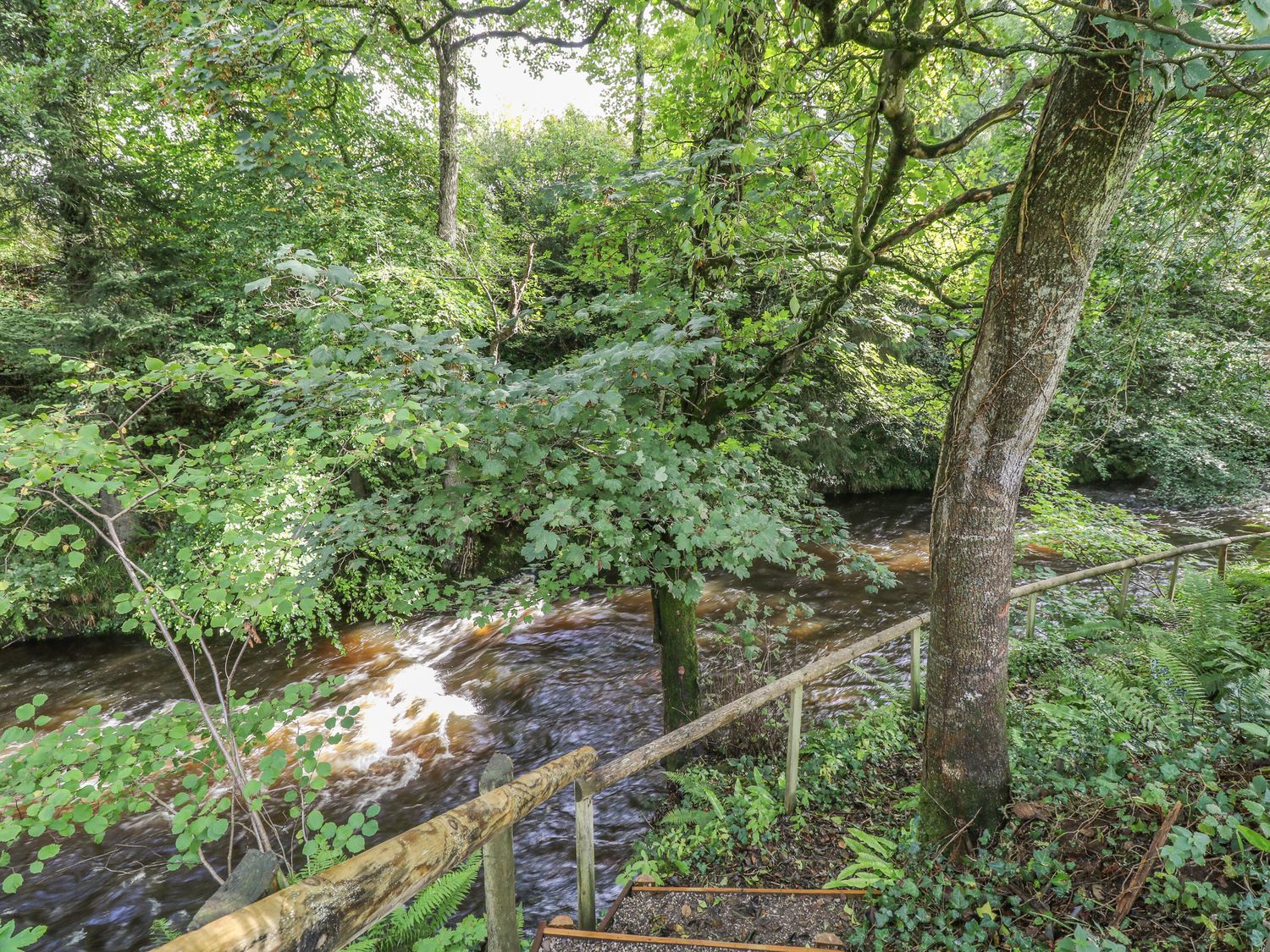 A flowing river with trees and a wooden handrail along a path at The Old Mill Shepherd's Hut in Jacobstowe near Okehampton