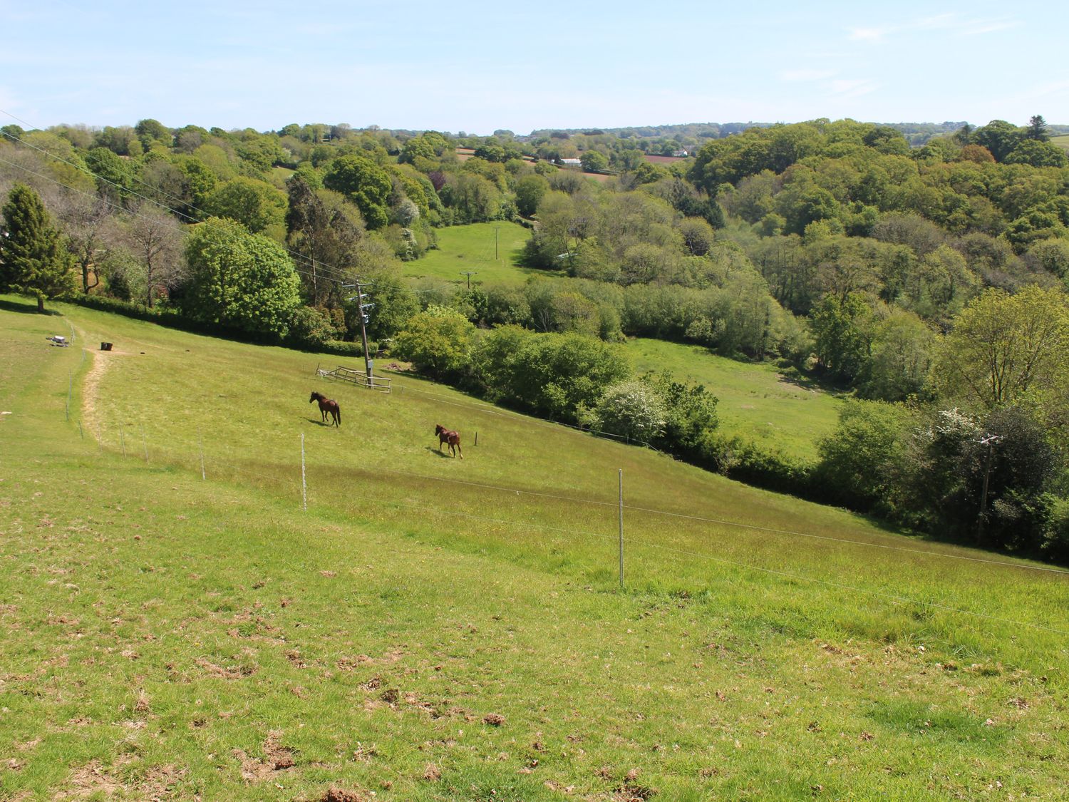 Hilly Field Barn                     photo 23