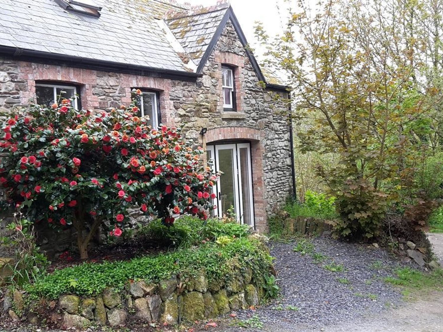 Cwmbrandy Cottage - South Wales - 1035730 - photo 1