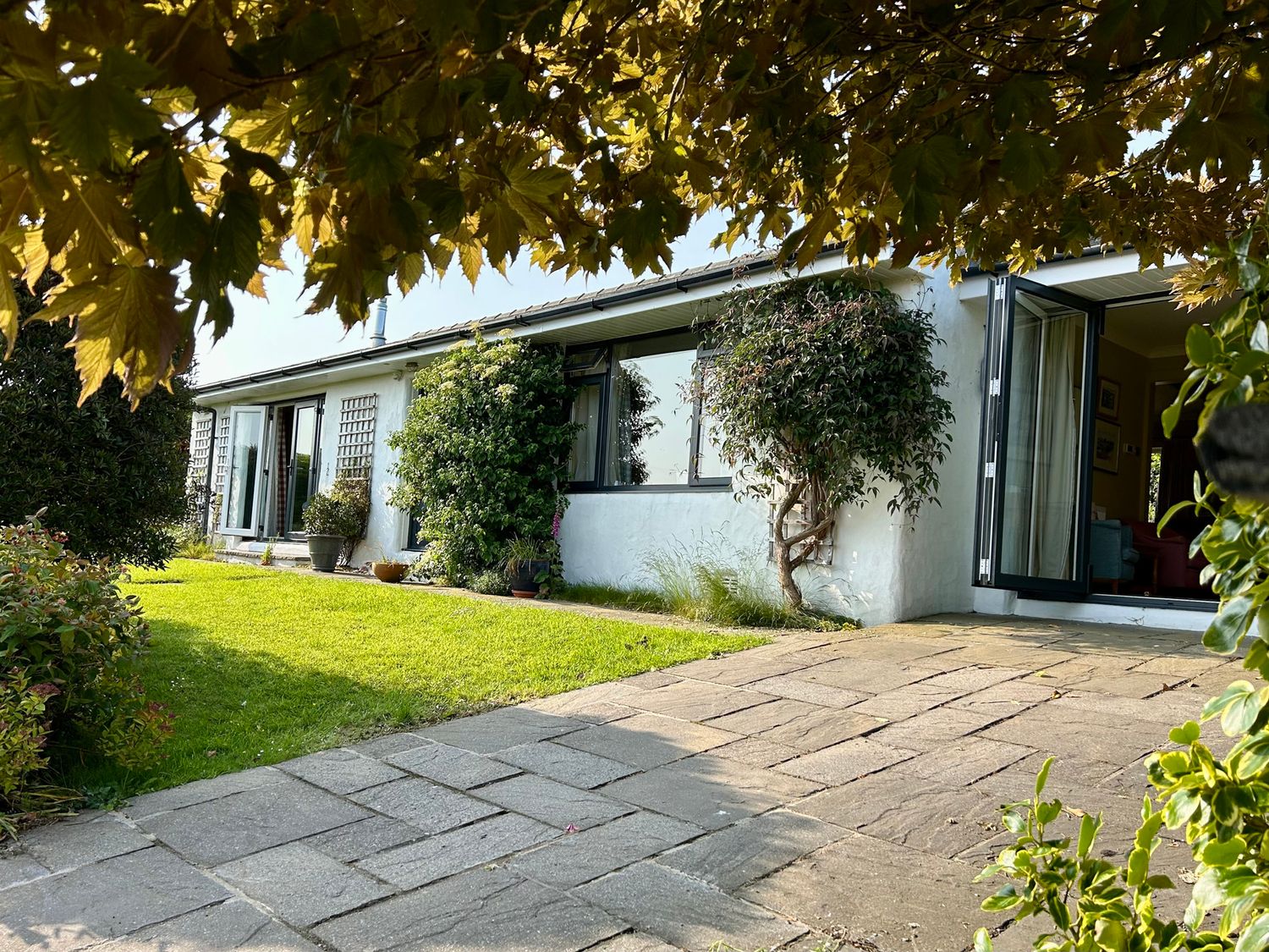 A house with windows and greenery at Dolwylan Newport, Pembrokeshire