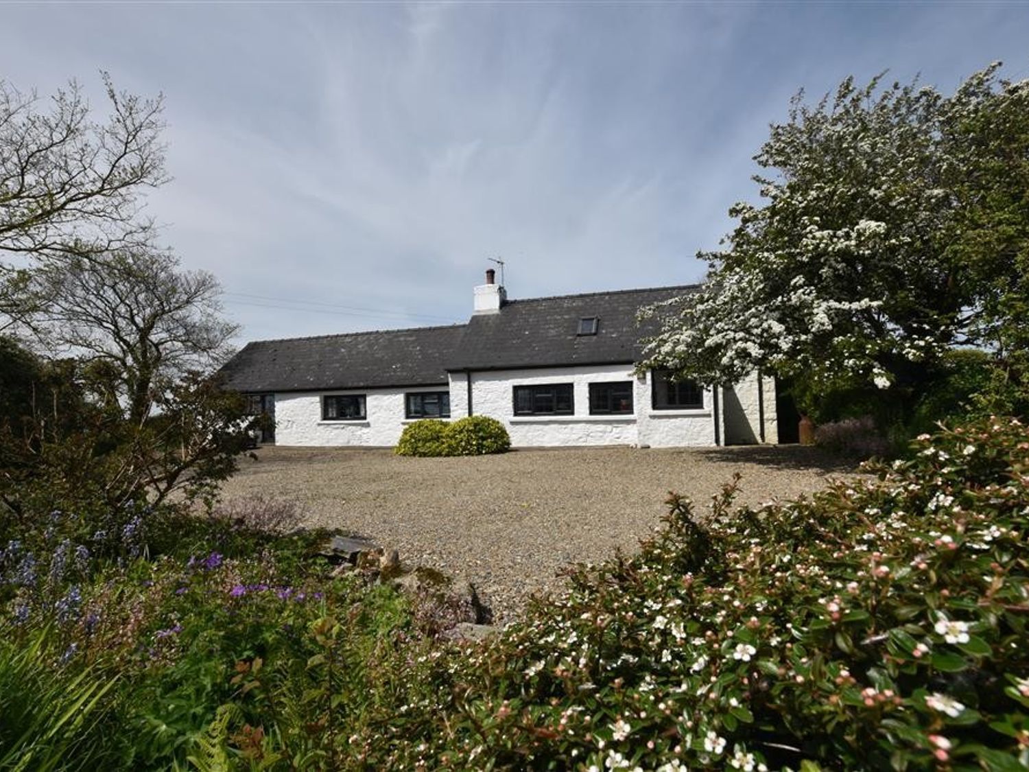 Ty-Newydd Cottage - South Wales - 1036267 - photo 1