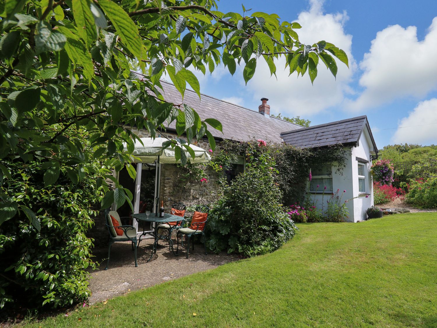 Trawsnant Cottage - Mid Wales - 1036292 - photo 1