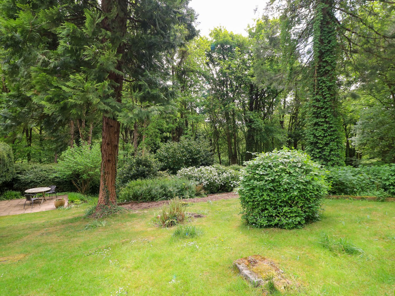 Chapel Cottage                     photo 19