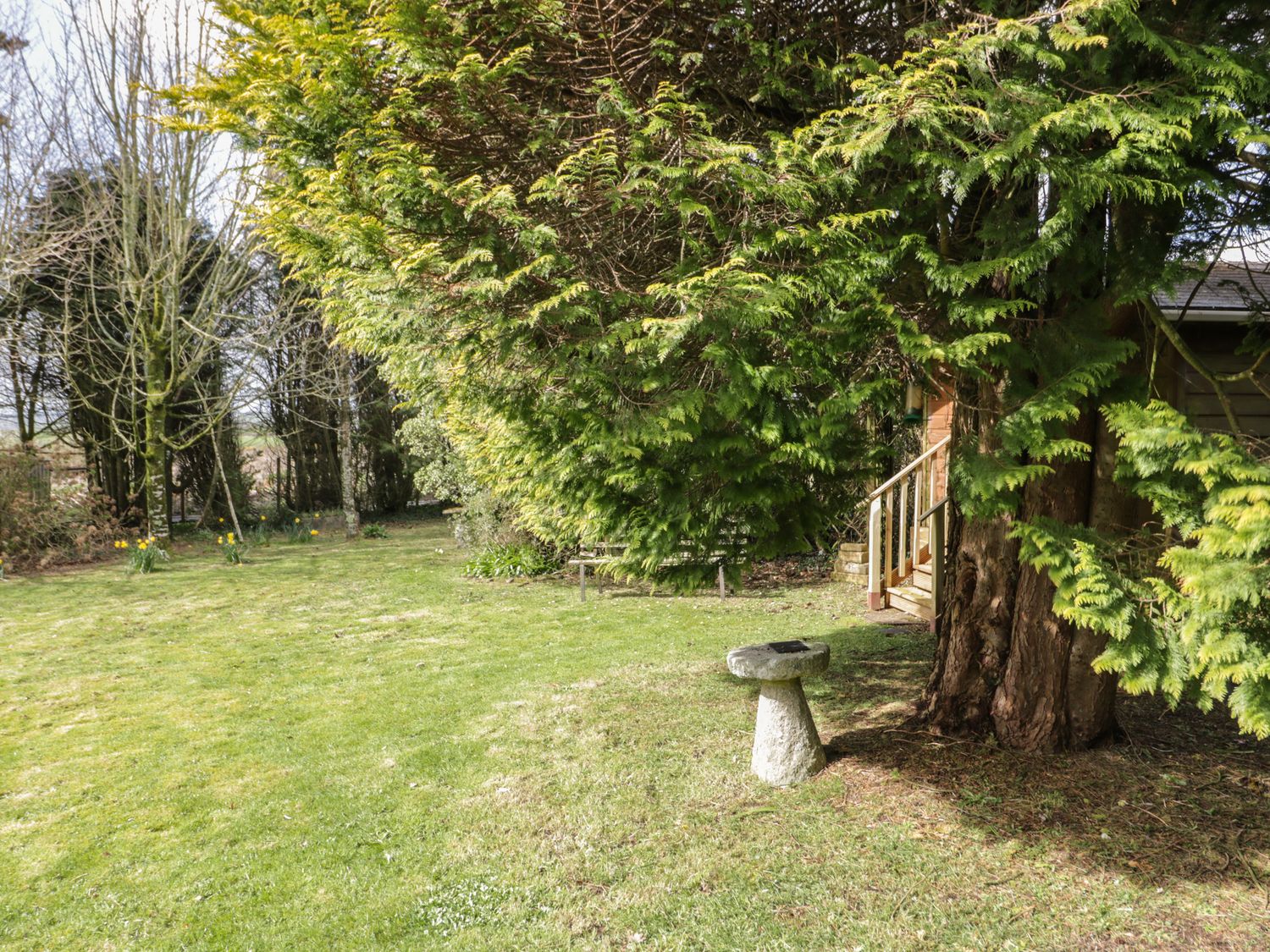 A garden with grass and trees and a stone bird bath and a wooden shed at Three Jays in Lanreath