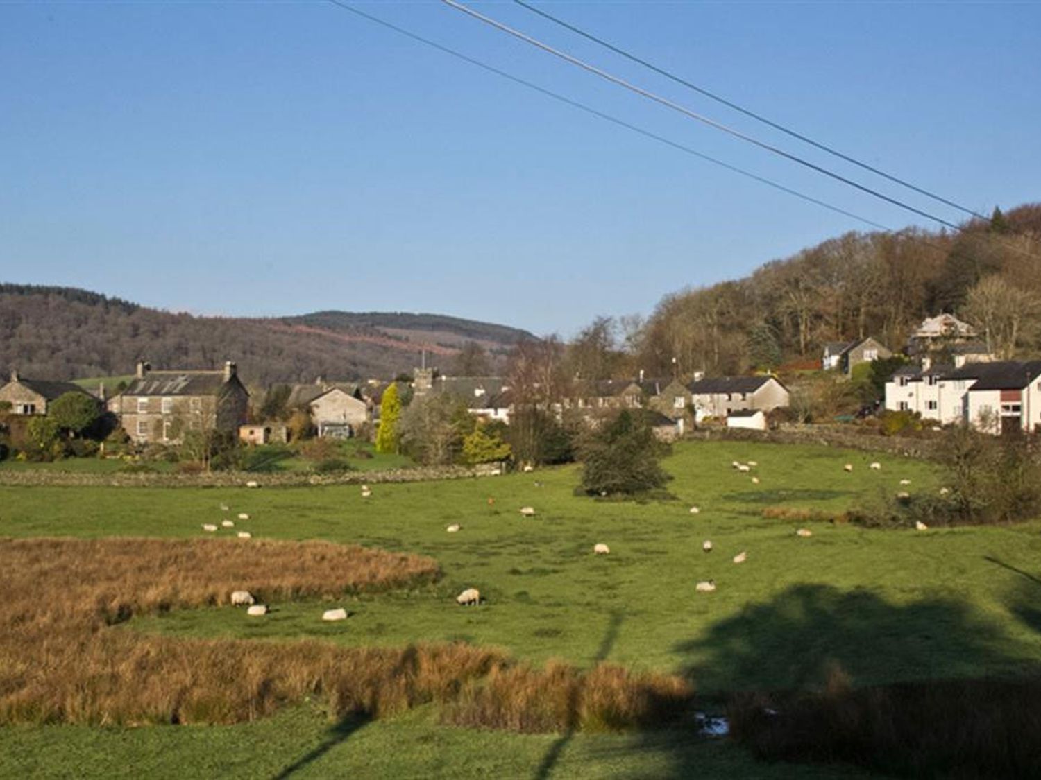 A rural landscape with sheep grazing on a green field and houses near trees and hills at Cherry Tree Cottage at Satterthwaite in Hawkshead