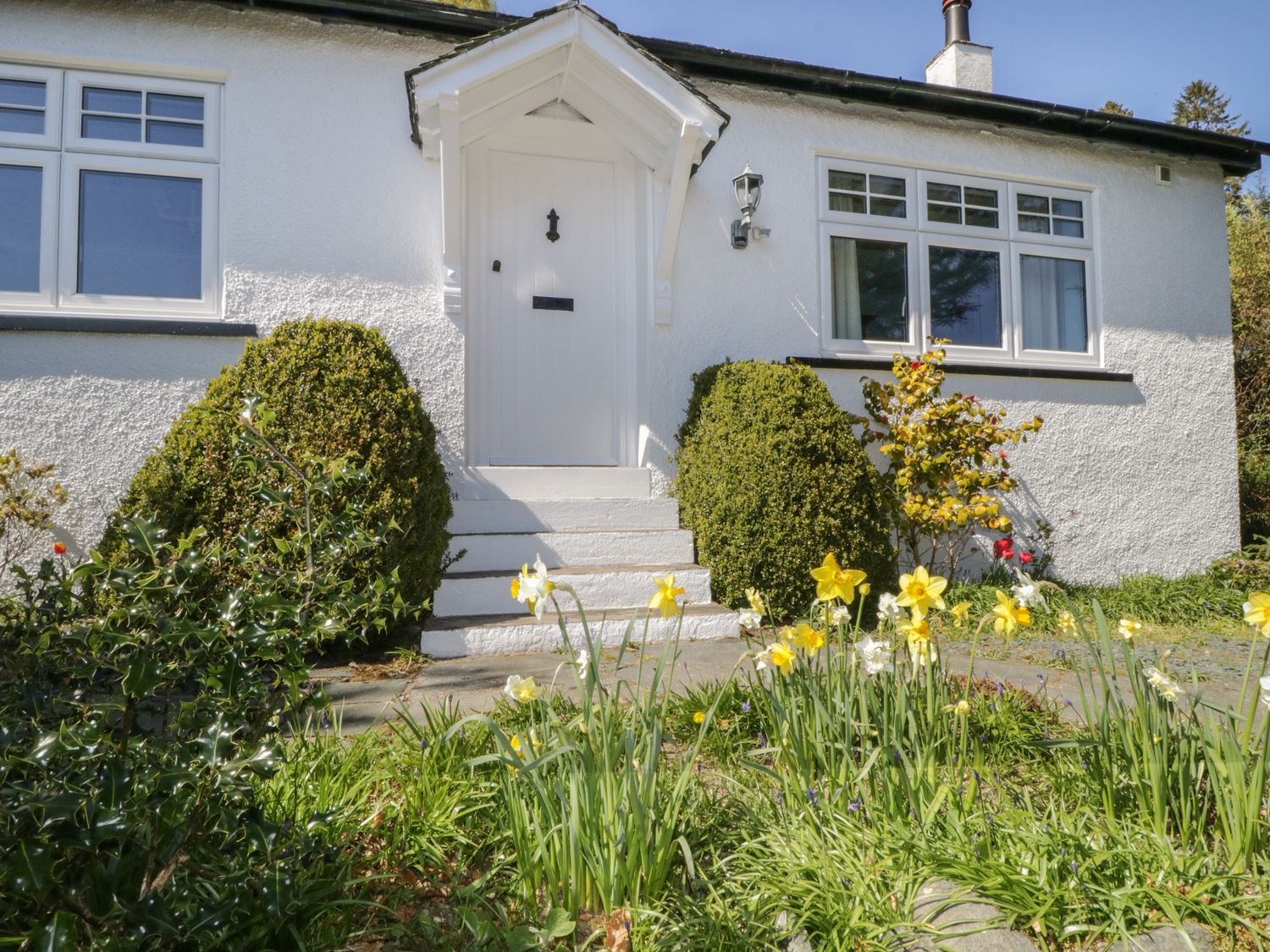 A white entrance door with steps and windows on either side surrounded by shrubs and daffodils at Woodside in Braithwaite