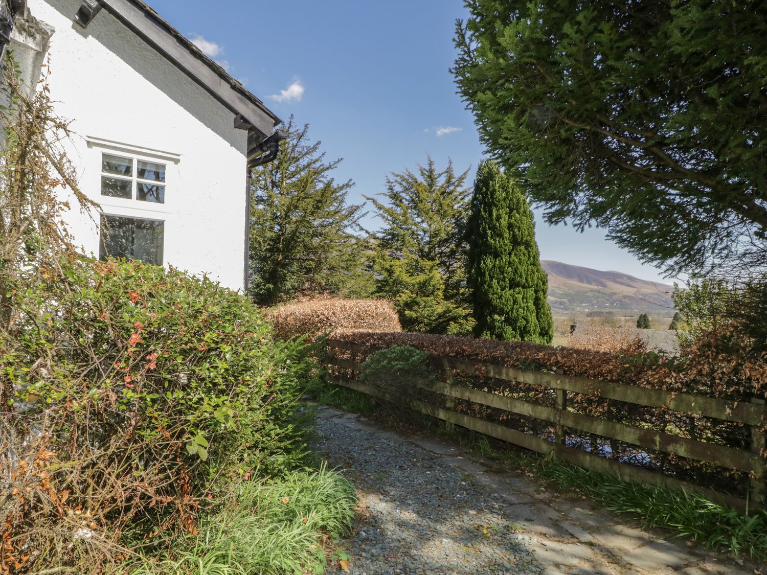 A garden path with shrubs and trees next to a white house at Woodside in Braithwaite