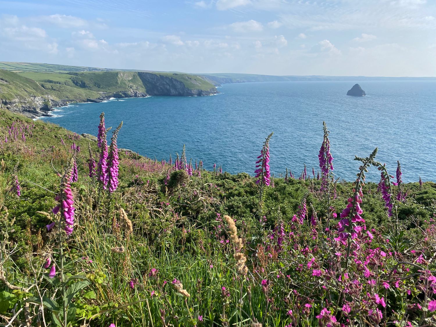 A coastal cliff with purple flowers overlooking the ocean and a rock formation at Merlins Cottage in Tintagel