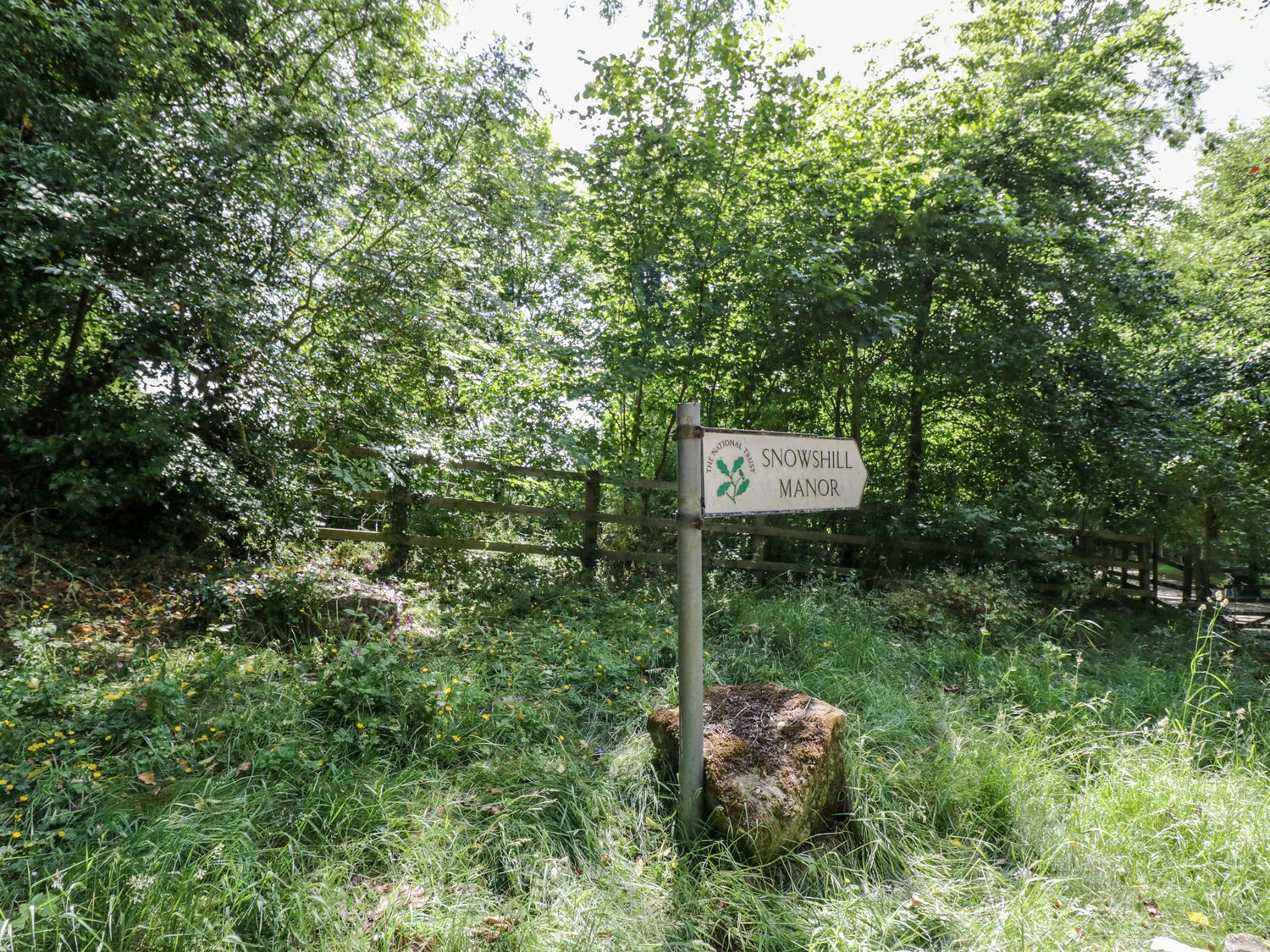 The Malins                     photo 27