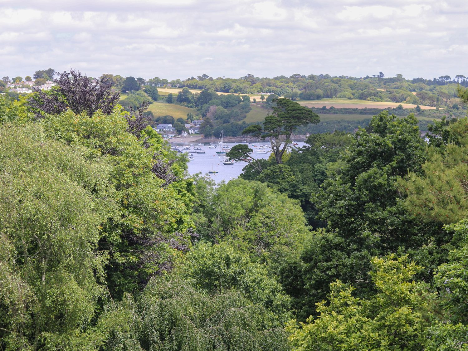 A landscape view of trees with a river and boats in the distance at Wood Meadow in Helford