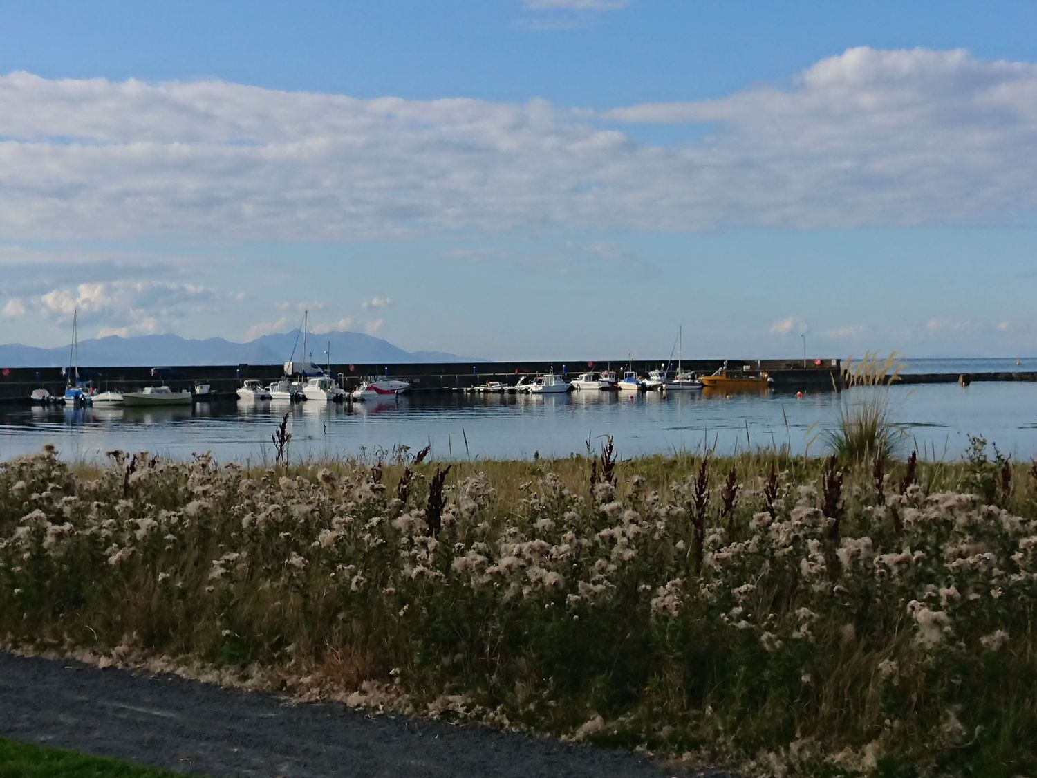 A harbor with boats docked behind a walkway and wild plants in the foreground at Honesty Cottage in Maidens