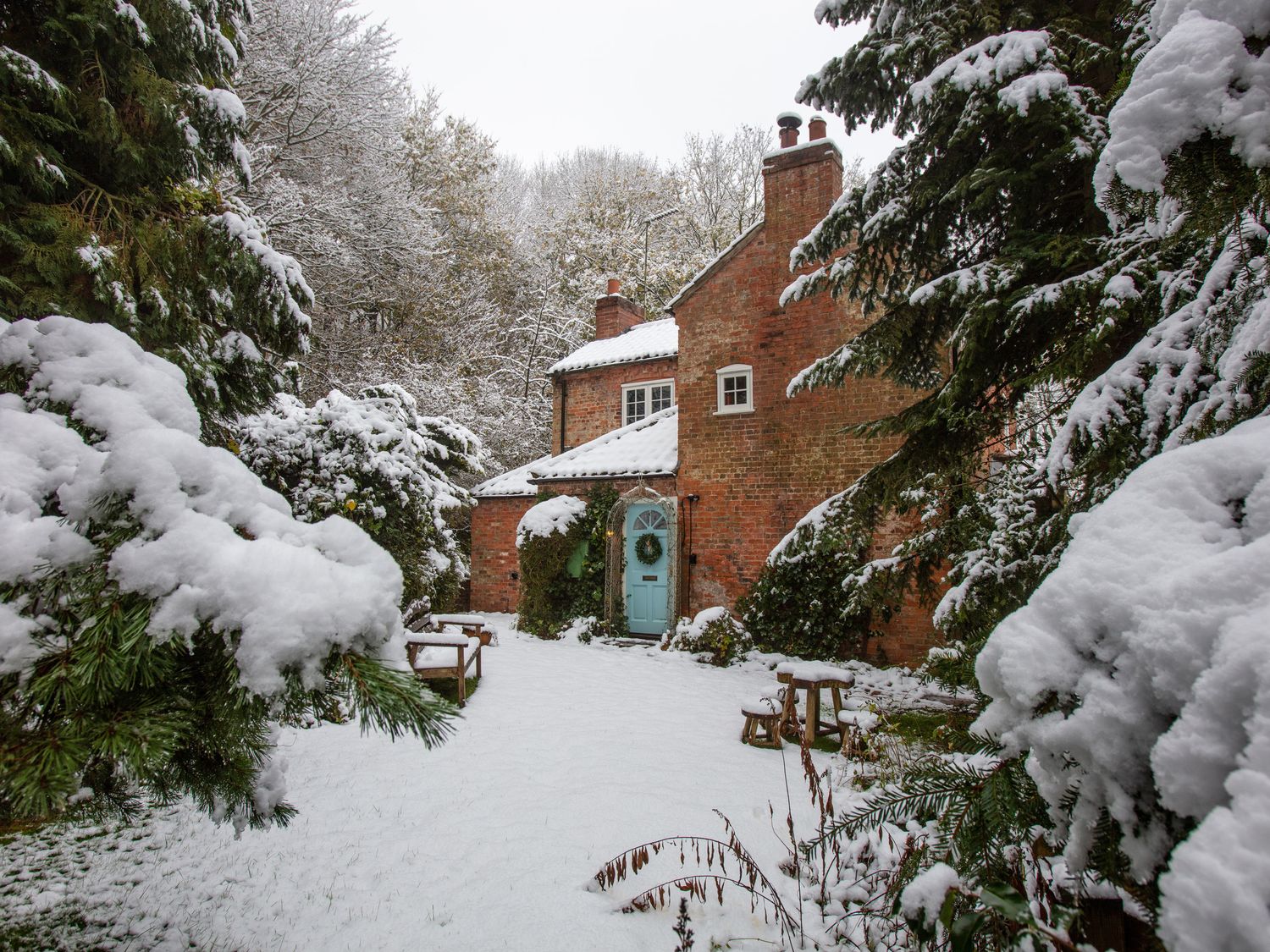 Sunny Cottage - Lincolnshire - 1058129 - photo 1