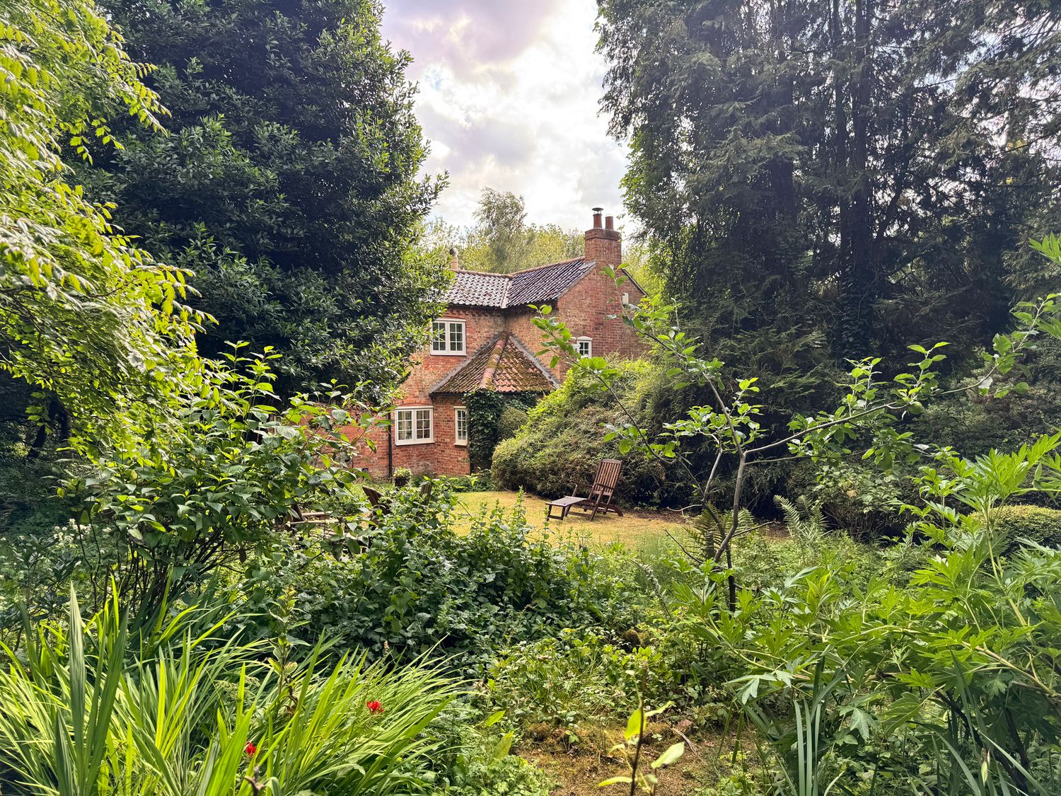 A house surrounded by garden and trees at Sunny Cottage in Grantham
