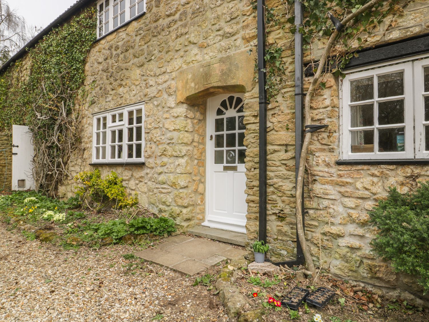 Jasmine Cottage                     photo 2