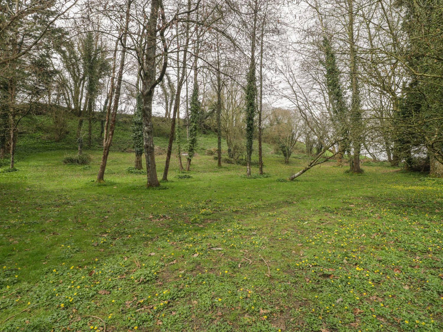 Jasmine Cottage                     photo 22