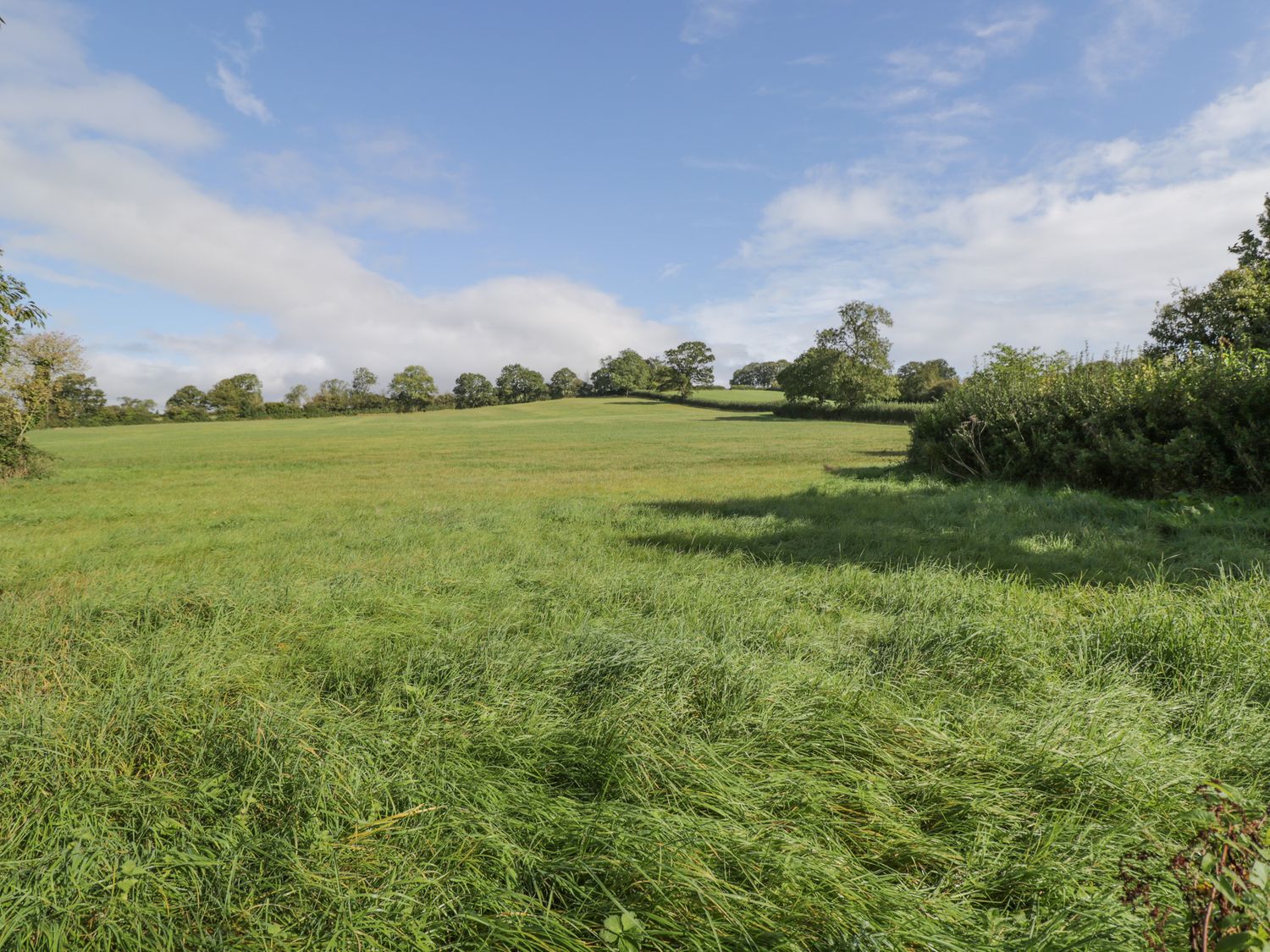 A grassy field with trees in the distance under a partly cloudy sky at The Anchorage in East Pennard near Ditcheat