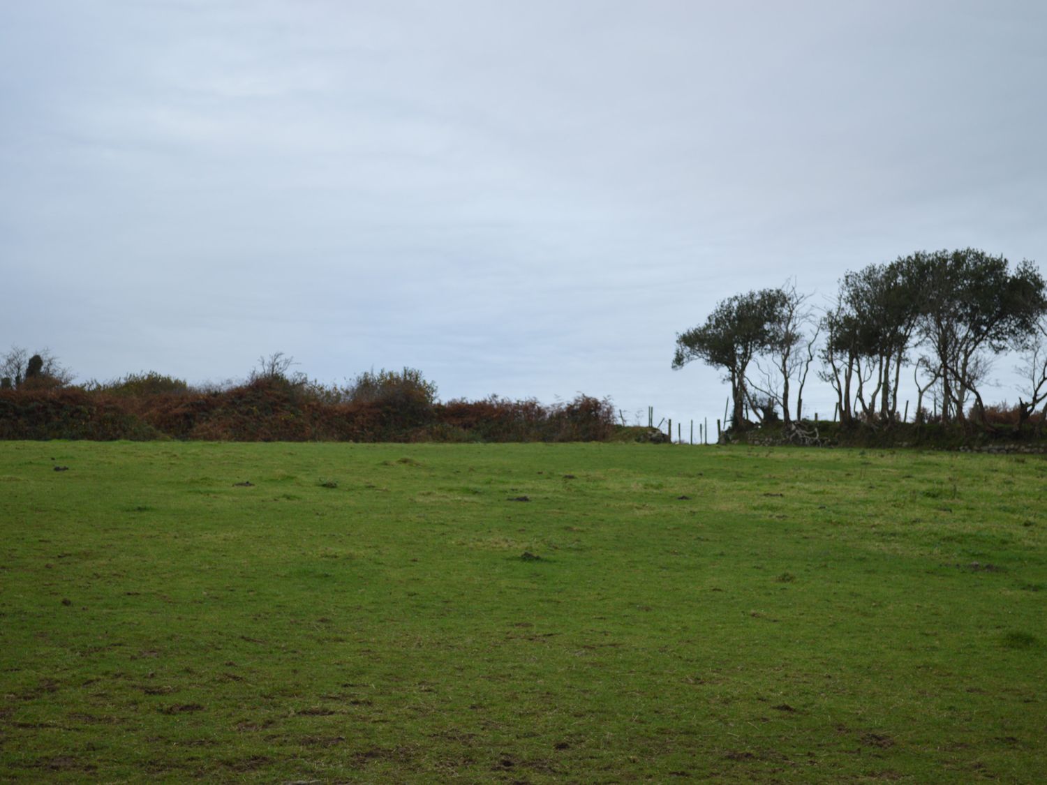 Cwrt y Wennol                     photo 36