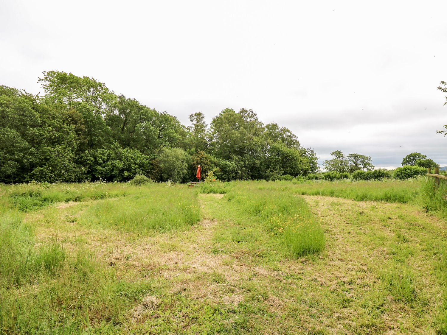 An open grassy field with a picnic table and red umbrella near trees at Beekeeper's Cottage in Pembridge