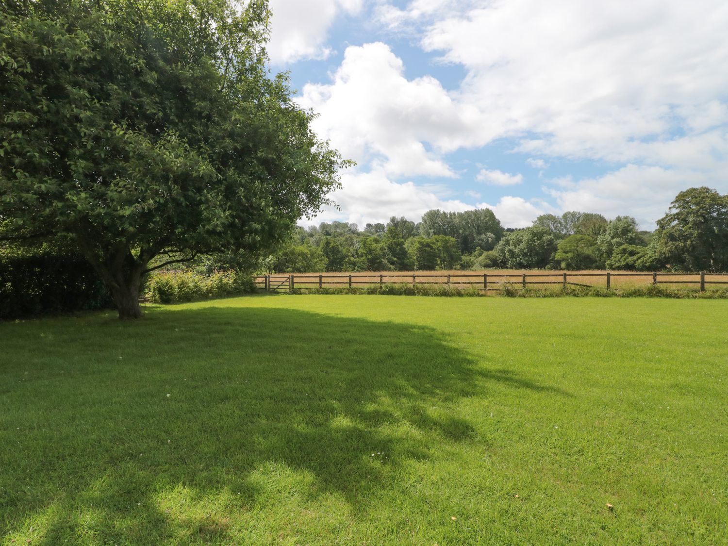 A grassy field with a tree casting a shadow and a wooden fence at Ammerham Farm Cottage in Ammerham near Winsham