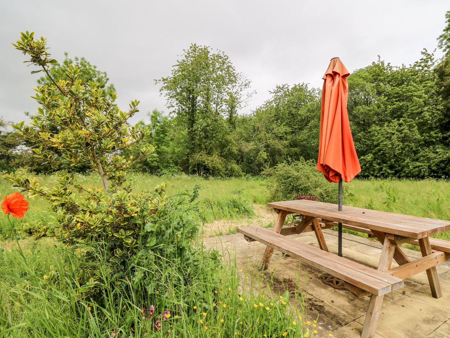 Bluebell Cottage                     photo 28
