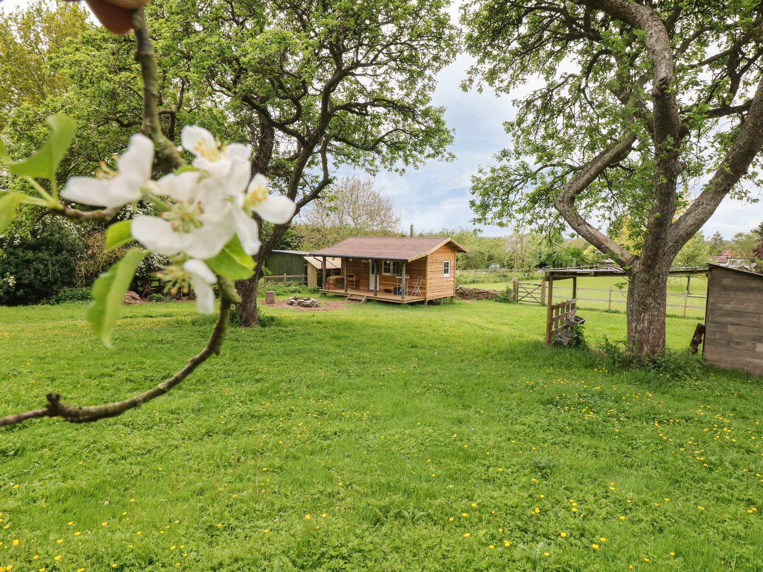 Bramley Orchard Glamping - Lincolnshire - 1062708 - photo 1