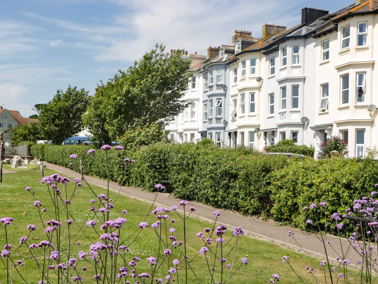 A row of white and grey terraced houses with bushes and purple flowers in front at Bay Tree House in Seaton Devon