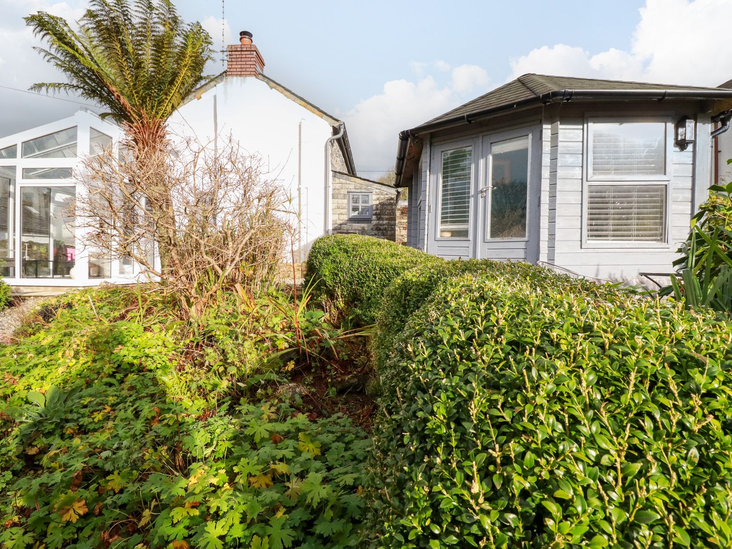 Pennywort Cottage                     photo 26