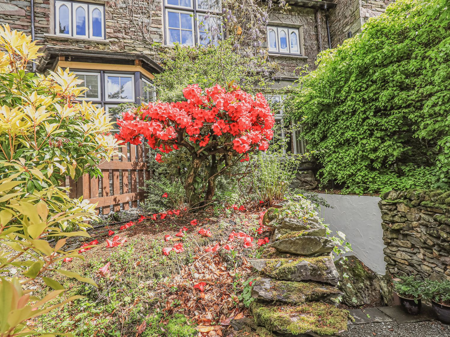 Wisteria Grasmere Holiday Cottage Bird Spot wisteria-grasmere-holiday-cottage-bird-spot